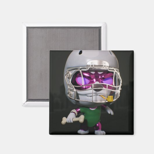 磁石 (正面/裏面)