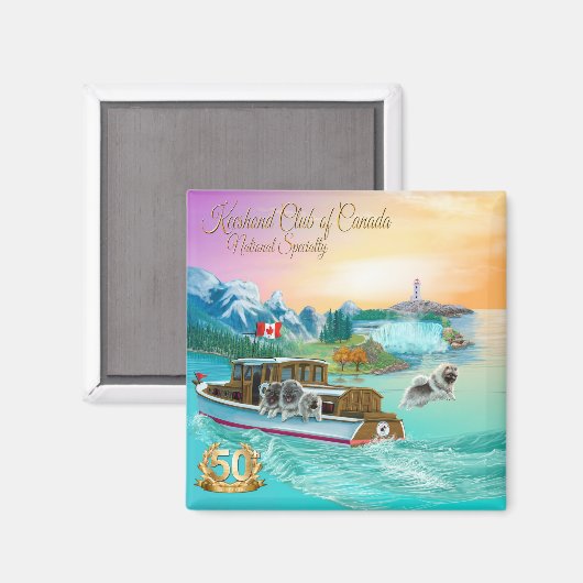 磁石 (正面/裏面)