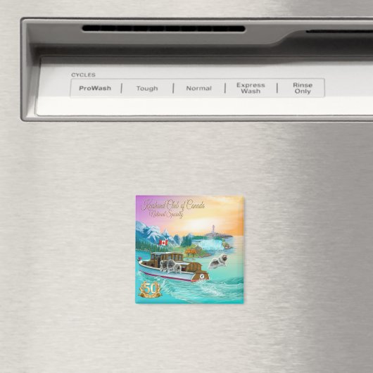 磁石 (インサイチュ (食洗機))