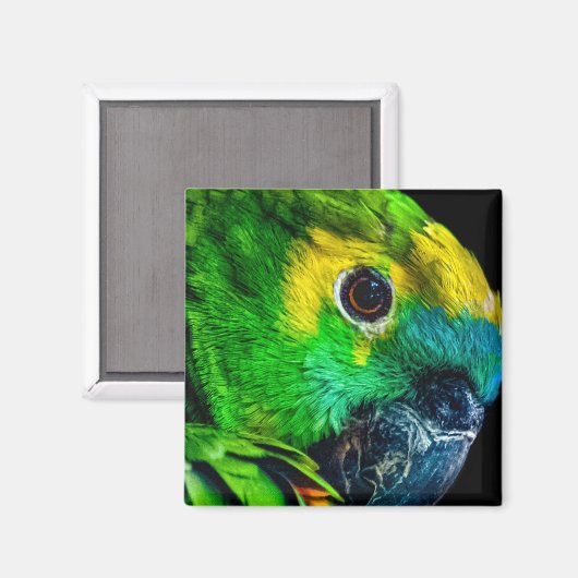 磁石 (正面/裏面)