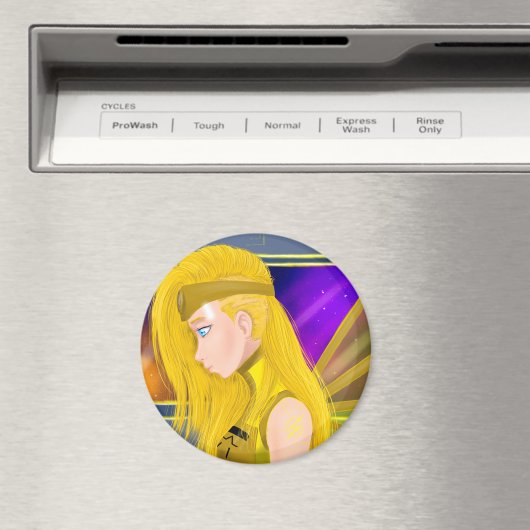 磁石 (インサイチュ (食洗機))