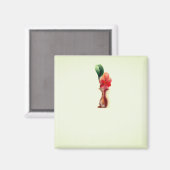 磁石 (正面/裏面)