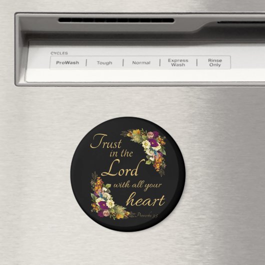 磁石 (インサイチュ (食洗機))