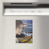 磁石 (インサイチュ (食洗機))