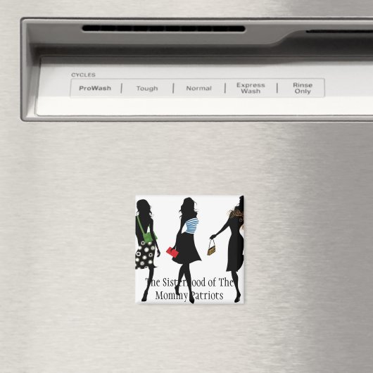 磁石 (インサイチュ (食洗機))