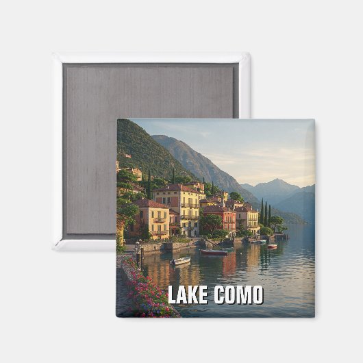 磁石 (正面/裏面)