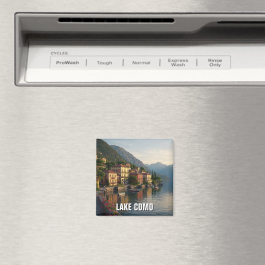 磁石 (インサイチュ (食洗機))