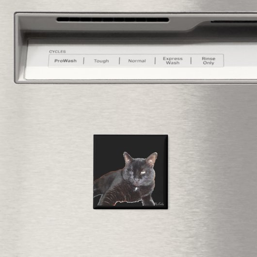 磁石 (インサイチュ (食洗機))