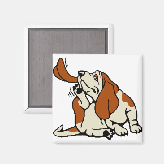 磁石 (正面/裏面)