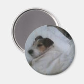 磁石 (正面/裏面)