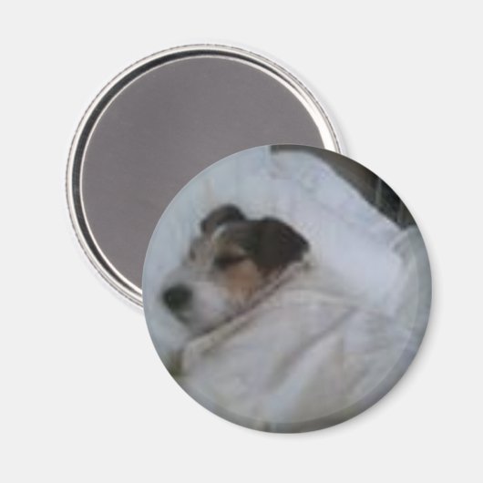 磁石 (正面/裏面)