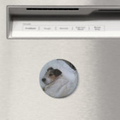 磁石 (インサイチュ (食洗機))