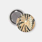 磁石 (正面/裏面)