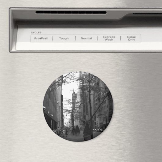 磁石 (インサイチュ (食洗機))