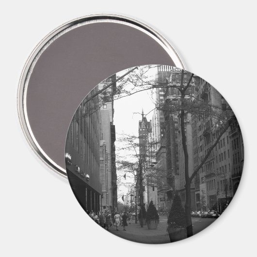 磁石 (正面/裏面)