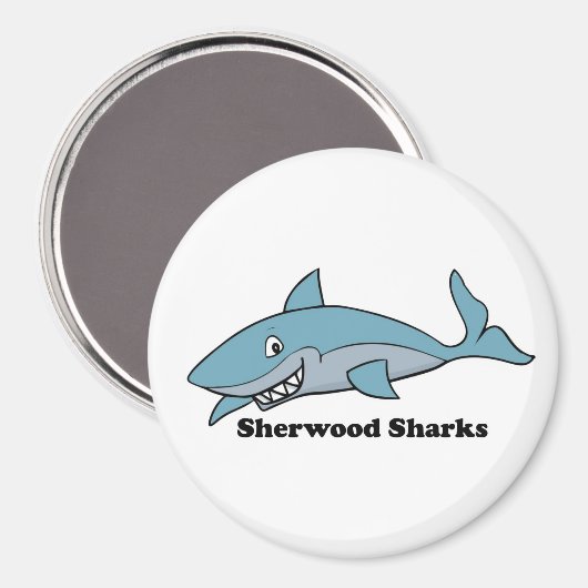 磁石 (正面/裏面)