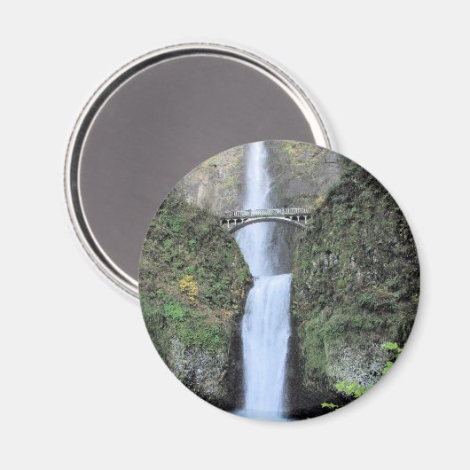 磁石 (正面/裏面)