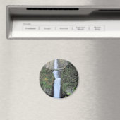 磁石 (インサイチュ (食洗機))