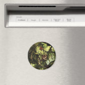 磁石 (インサイチュ (食洗機))