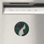 磁石 (インサイチュ (食洗機))