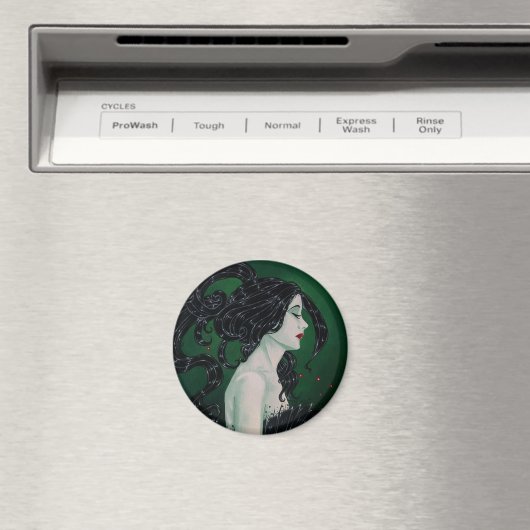 磁石 (インサイチュ (食洗機))