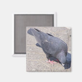 磁石 (正面/裏面)