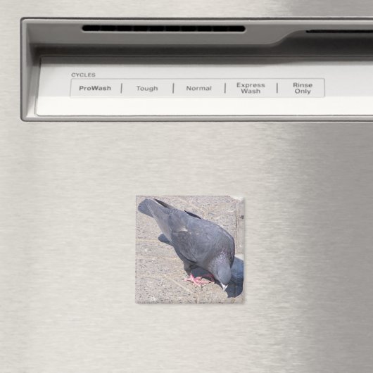 磁石 (インサイチュ (食洗機))