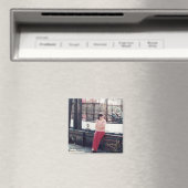 磁石 (インサイチュ (食洗機))