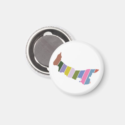 磁石 (正面/裏面)