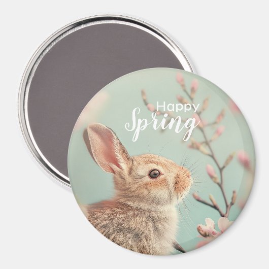 磁石 (正面/裏面)