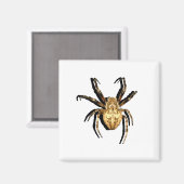 磁石 (正面/裏面)