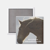 磁石 (正面/裏面)