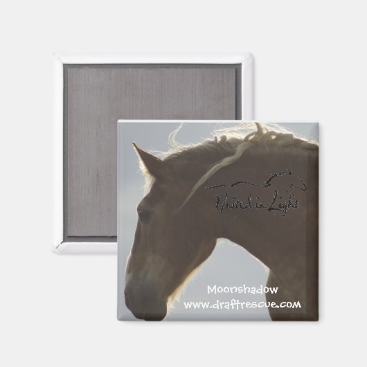 磁石 (正面/裏面)