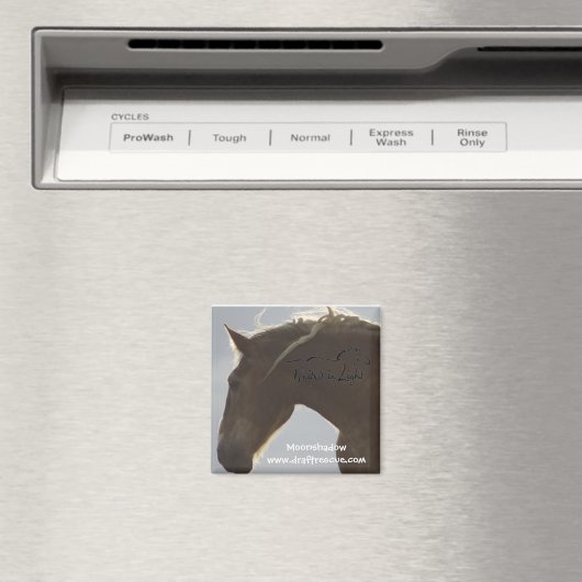 磁石 (インサイチュ (食洗機))