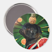 磁石 (正面/裏面)