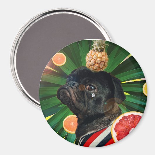 磁石 (正面/裏面)