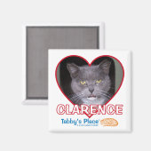 磁石 (正面/裏面)