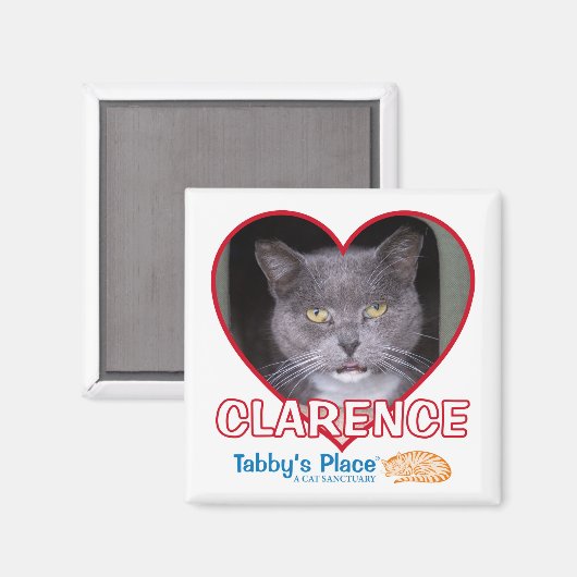 磁石 (正面/裏面)