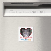 磁石 (インサイチュ (食洗機))