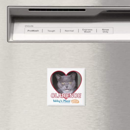 磁石 (インサイチュ (食洗機))