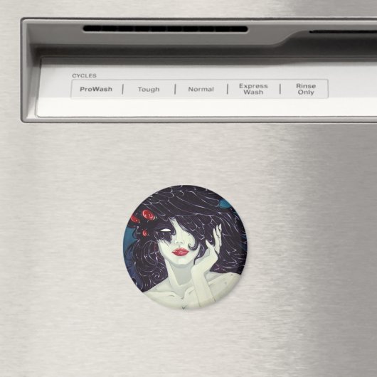 磁石 (インサイチュ (食洗機))