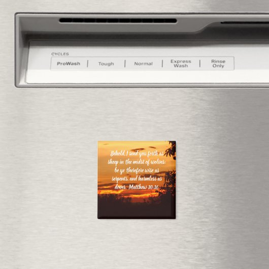 磁石 (インサイチュ (食洗機))