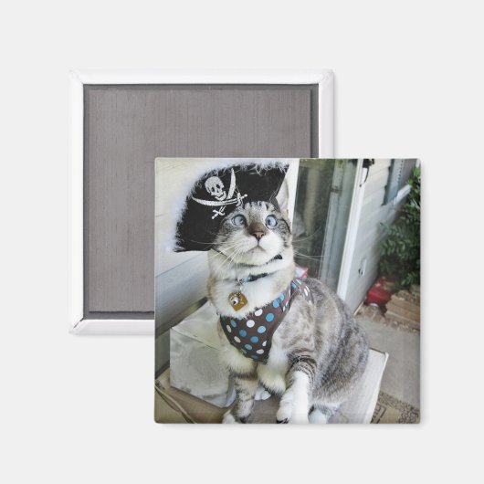 磁石 (正面/裏面)