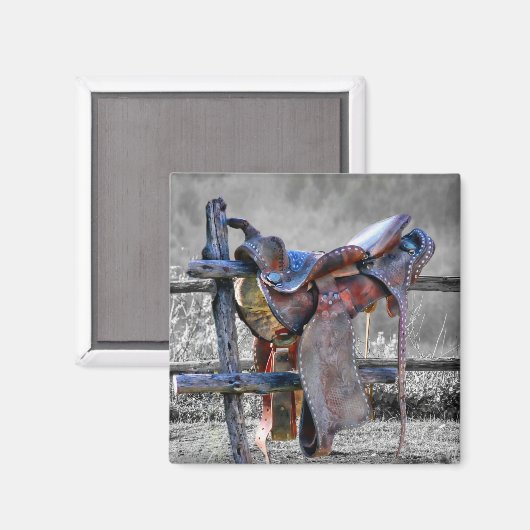 磁石 (正面/裏面)