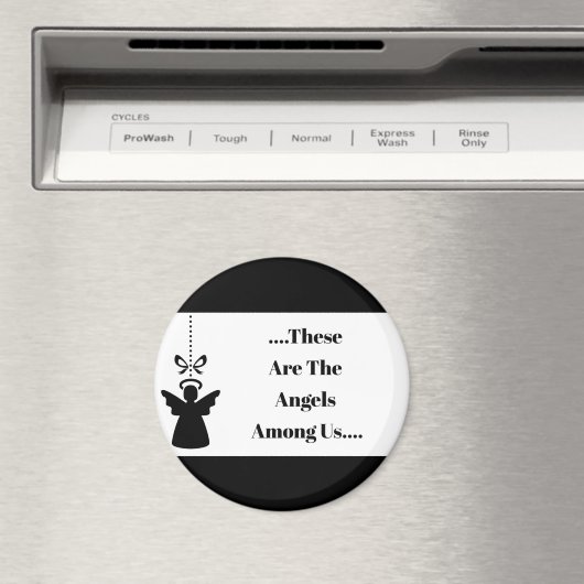 磁石 (インサイチュ (食洗機))