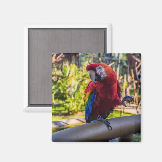 磁石 (正面/裏面)