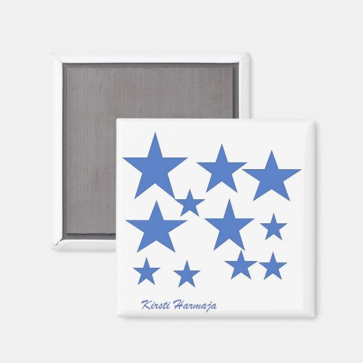 磁石 (正面/裏面)