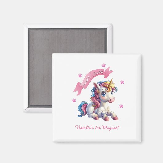 磁石 (正面/裏面)