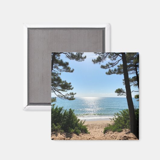 磁石 (正面/裏面)