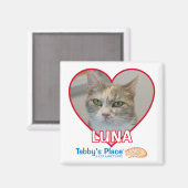 磁石 (正面/裏面)